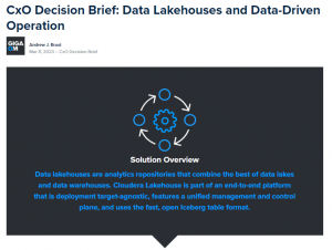 - CXO Decision Brief Data Lakehouses and Data Driven Operation 1